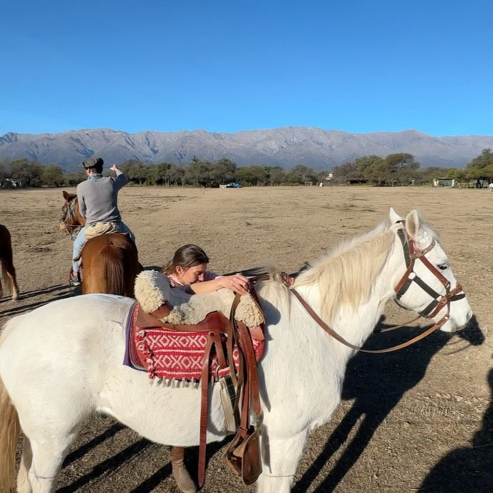 Campo abierto con caballos y las sierras de fondo